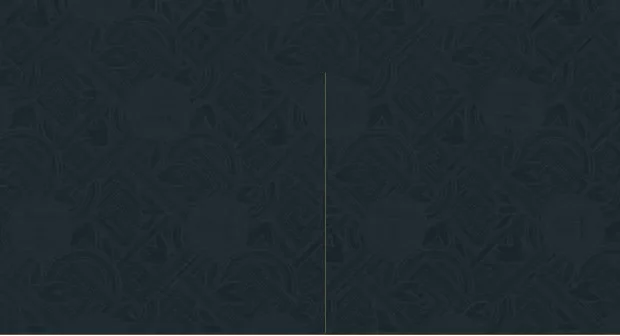 footer-bg-pattern