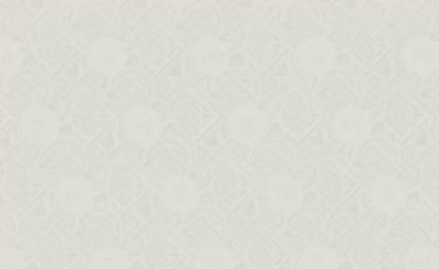 tan bg pattern