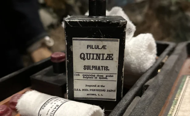 Quinine-2-2-scaled