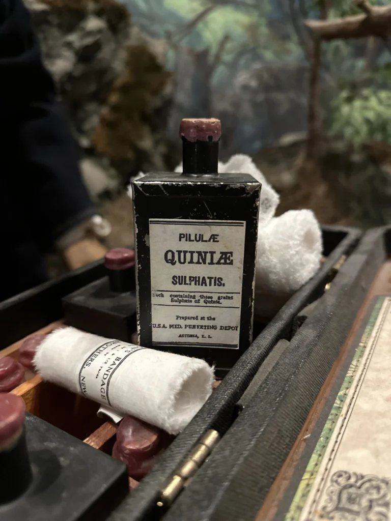Quinine-2-2-scaled